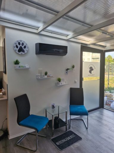 neue hundephysiopraxis in celle